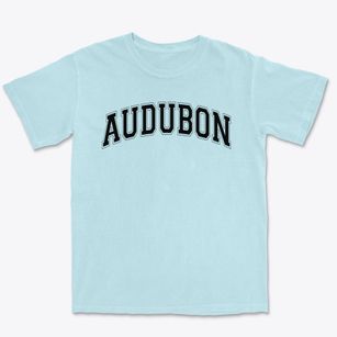 Audubon High School Varsity Arch Premium Heavyweight T-shirt