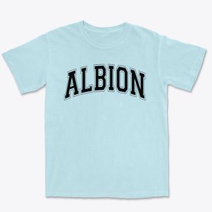 Albion Middle School Varsity Arch Premium Heavyweight T-shirt
