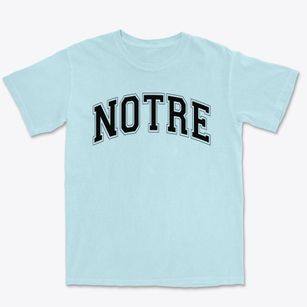 Notre Dame De Lourdes School Varsity Arch Premium Heavyweight T-shirt