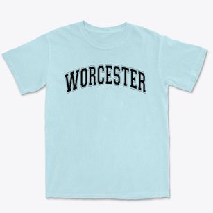 Worcester Elementary School Varsity Arch Premium Heavyweight T-shirt