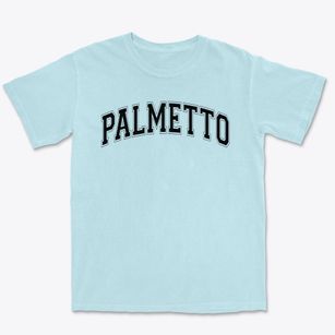 Palmetto Christian Academy Varsity Arch Premium Heavyweight T-shirt