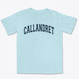 Callandret Special Ed School Varsity Arch Premium Heavyweight T-shirt