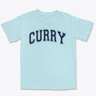 Curry Elementary School Varsity Arch Premium Heavyweight T-shirt