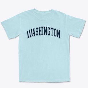 Washington Science Tech Magnet School Varsity Arch Premium Heavyweight T-shirt
