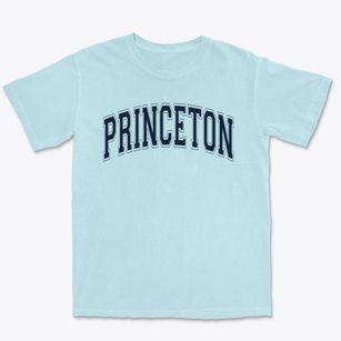 Princeton Elementary School Varsity Arch Premium Heavyweight T-shirt