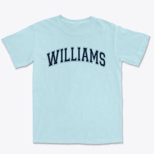 Williams Elementary School Varsity Arch Premium Heavyweight T-shirt