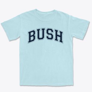 Bush Elementary School Varsity Arch Premium Heavyweight T-shirt