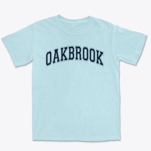 Oakbrook Elementary School Varsity Arch Premium Heavyweight T-shirt