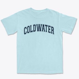 Coldwater Christian Academy Varsity Arch Premium Heavyweight T-shirt