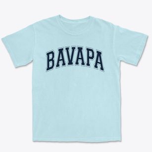 Buffalo Academy For Visual & Performing Arts Varsity Arch Premium Heavyweight T-shirt