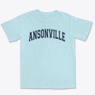 Ansonville Elementary School Varsity Arch Premium Heavyweight T-shirt