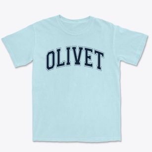 Olivet Primary School Varsity Arch Premium Heavyweight T-shirt