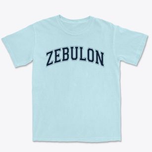 Zebulon Elementary School Varsity Arch Premium Heavyweight T-shirt
