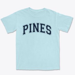 Pines Elementary School Varsity Arch Premium Heavyweight T-shirt
