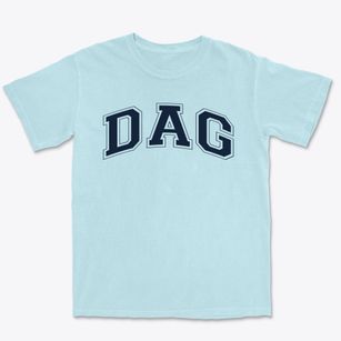 Dag Hammarskjold Elementary School Varsity Arch Premium Heavyweight T-shirt