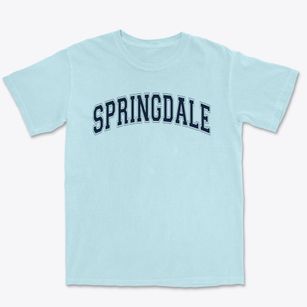 Springdale Elementary School Varsity Arch Premium Heavyweight T-shirt