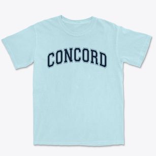 Concord Elementary School Varsity Arch Premium Heavyweight T-shirt