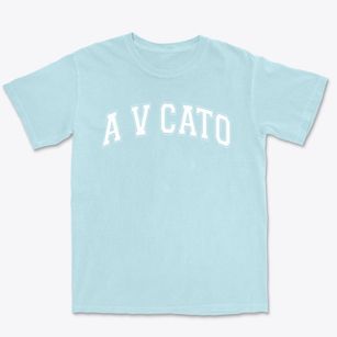 A V Cato Elementary School Varsity Arch Premium Heavyweight T-shirt