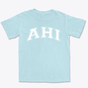 Ahi Ezer Yeshiva School Varsity Arch Premium Heavyweight T-shirt