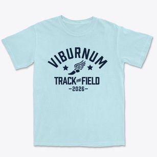 Viburnum Elementary School Track and Field Premium Heavyweight T-shirt