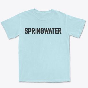 Springwater New York Classic Block Premium Heavyweight T-shirt