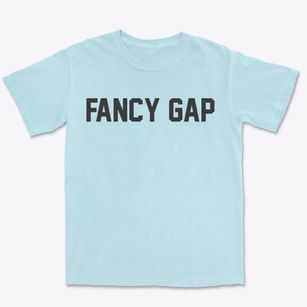 Fancy Gap Virginia Classic Block Premium Heavyweight T-shirt