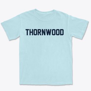 Thornwood New York Classic Block Premium Heavyweight T-shirt