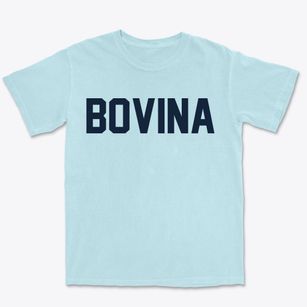 Bovina Wisconsin Classic Block Premium Heavyweight T-shirt