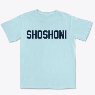 Shoshoni Wyoming Classic Block Premium Heavyweight T-shirt