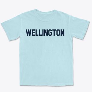 Wellington Wisconsin Classic Block Premium Heavyweight T-shirt
