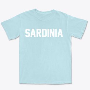 Sardinia New York Classic Block Premium Heavyweight T-shirt