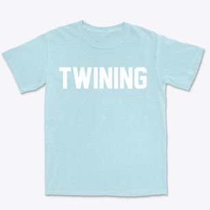 Twining Michigan Classic Block Premium Heavyweight T-shirt