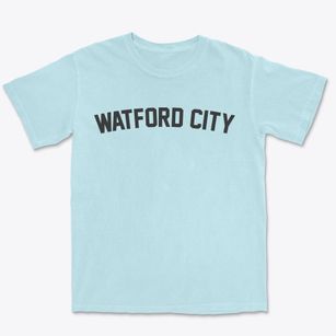 Watford City North Dakota Classic Curve Premium Heavyweight T-shirt