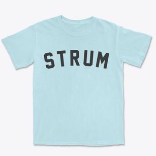Strum Wisconsin Classic Curve Premium Heavyweight T-shirt