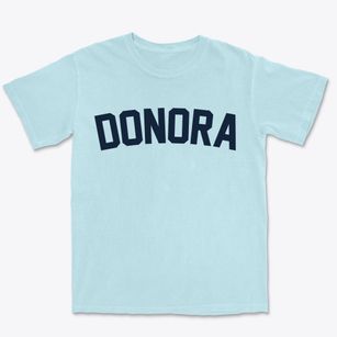 Donora Pennsylvania Classic Curve Premium Heavyweight T-shirt