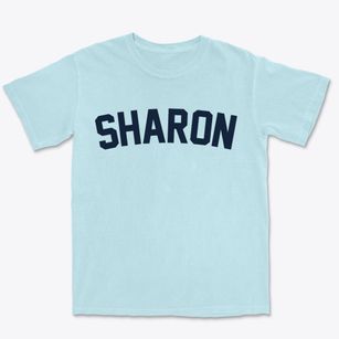 Sharon Wisconsin Classic Curve Premium Heavyweight T-shirt