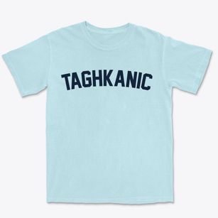 Taghkanic New York Classic Curve Premium Heavyweight T-shirt