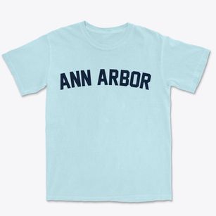 Ann Arbor Michigan Classic Curve Premium Heavyweight T-shirt