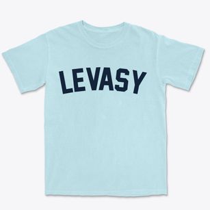Levasy Missouri Classic Curve Premium Heavyweight T-shirt