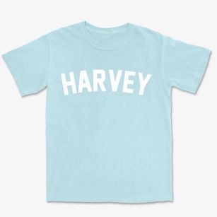 Harvey Louisiana Classic Curve Premium Heavyweight T-shirt