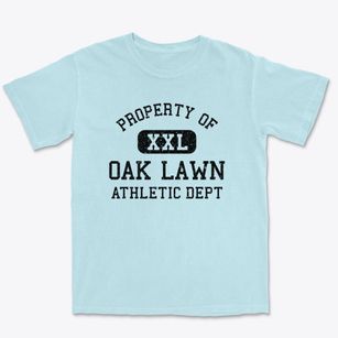 Oak Lawn Illinois Athletic Dept Premium Heavyweight T-shirt