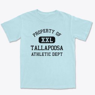 Tallapoosa Georgia Athletic Dept Premium Heavyweight T-shirt