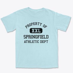 Springfield New York Athletic Dept Premium Heavyweight T-shirt