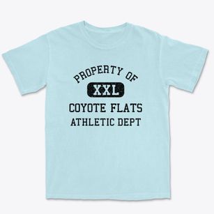 Coyote Flats Texas Athletic Dept Premium Heavyweight T-shirt