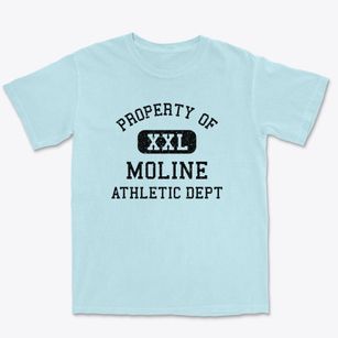 Moline Kansas Athletic Dept Premium Heavyweight T-shirt