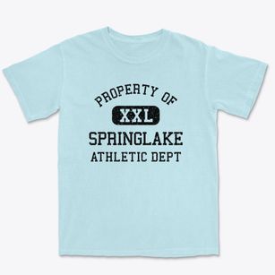 Springlake Texas Athletic Dept Premium Heavyweight T-shirt