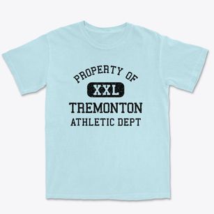 Tremonton Utah Athletic Dept Premium Heavyweight T-shirt