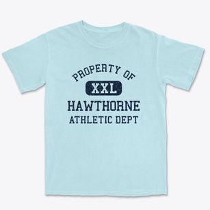 Hawthorne New York Athletic Dept Premium Heavyweight T-shirt