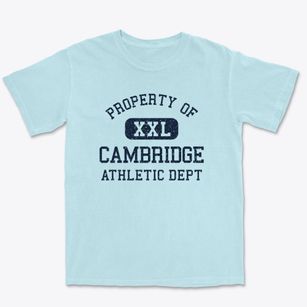 Cambridge Wisconsin Athletic Dept Premium Heavyweight T-shirt