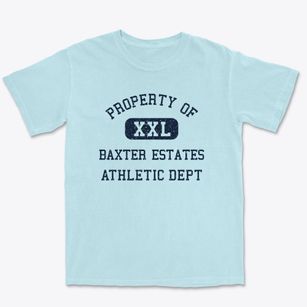 Baxter Estates New York Athletic Dept Premium Heavyweight T-shirt
